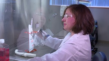 Reducing Cell Culture Contamination: Aseptic Technique
