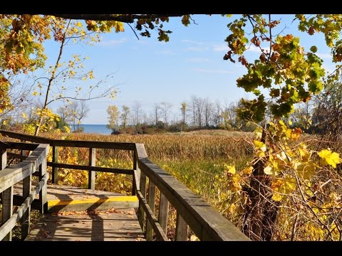 Top Tourist Attractions in Mississauga (Ontario) - Travel Guide