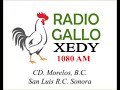 Radio Gallo XEDY 1080 KHz. Identificación
