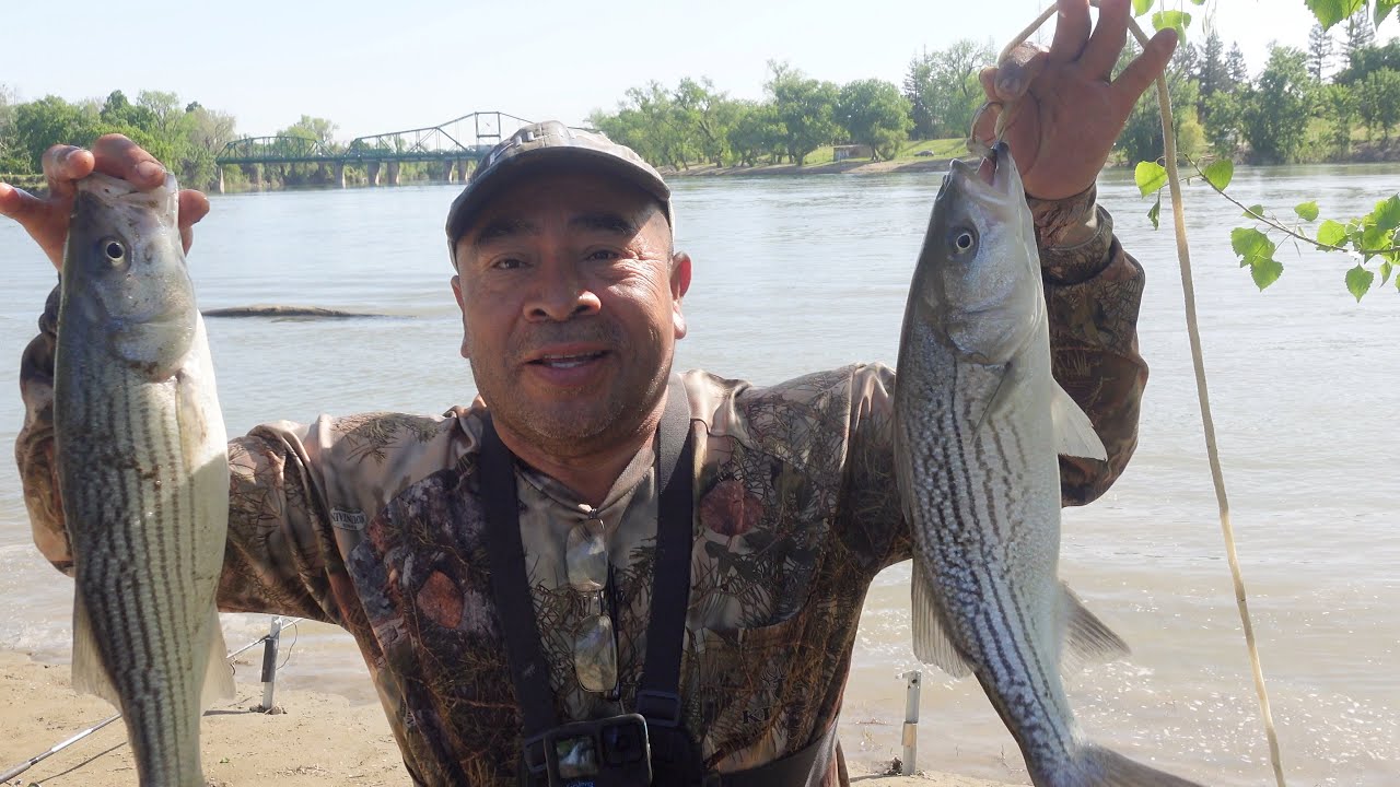 Fishing for stripper at Sacramento River Excellent fishing day ! May