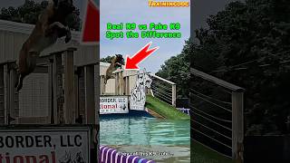 Dog training Real K9 Doesn’t Bark… It Acts #dog #malinois #k9 #dogtraining #belgianmalinois