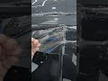 PPF process on Baleno | Opening Baleno for PPF #automobile #ppfprotection #cardetailling