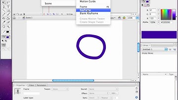 Flash CS3 Frame-by-Frame forced animation.mov