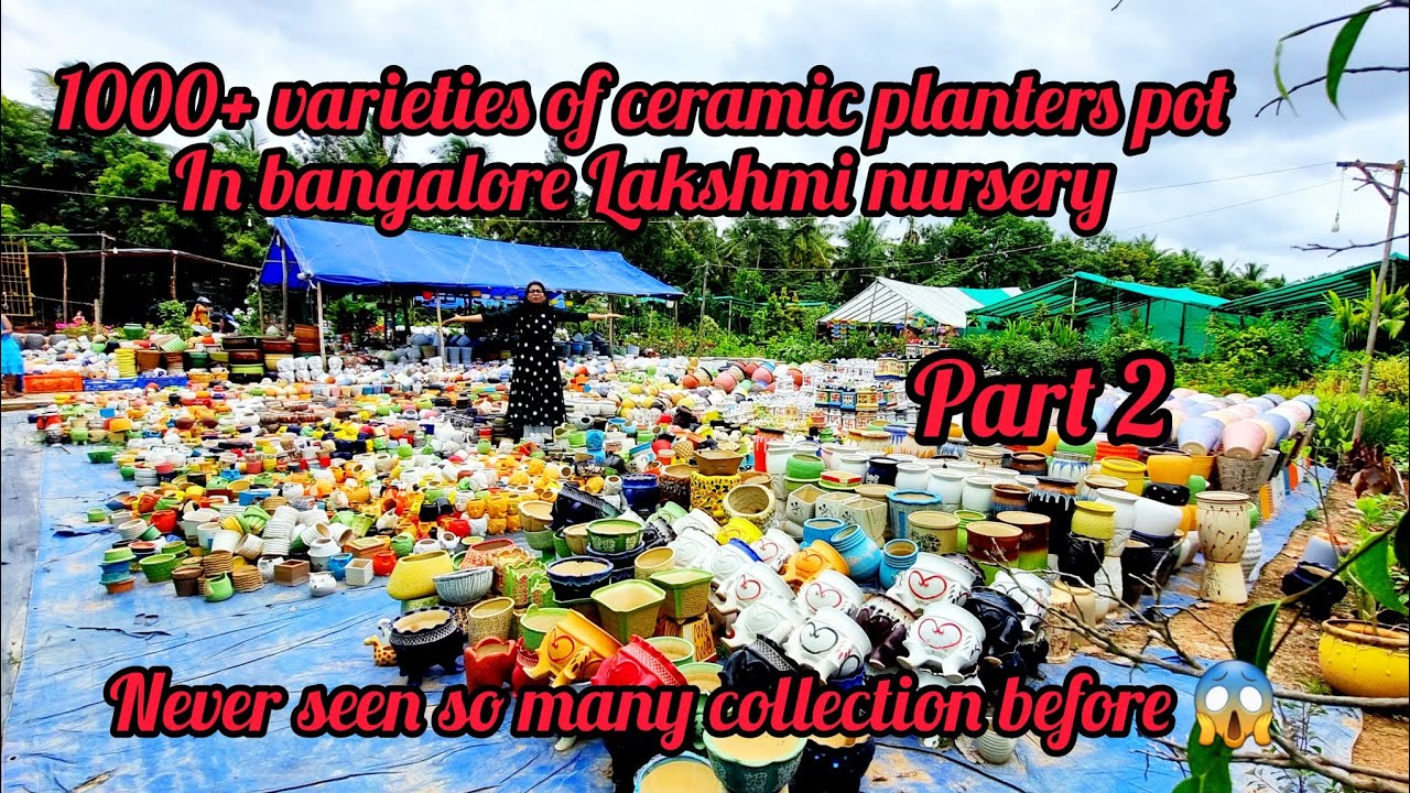 Lakshmi Nursery 1000+ ceramic pots market in bangalore with price YouTube