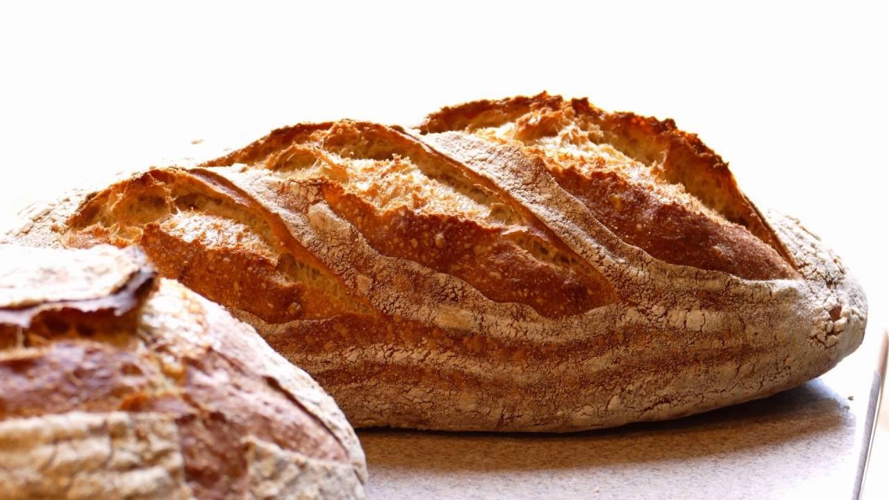 The Motherdough Sourdough Bread 4 Bread with Fantastic Taste and