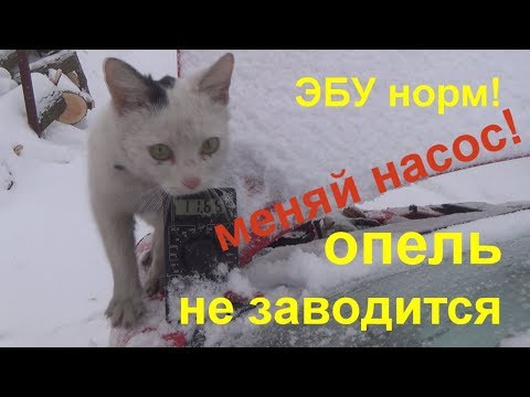 опель не заводтся, не шумит насос