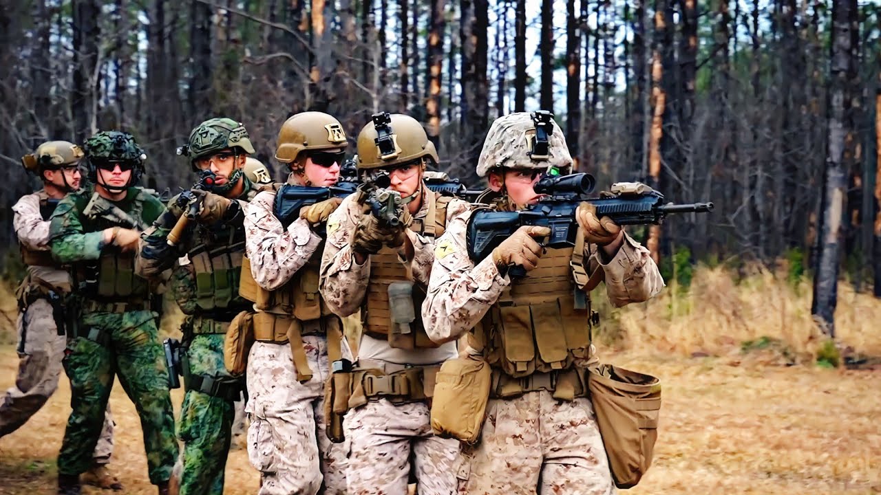 US Marines and Dutch Marines Conduct Exercise Caribbean Urban Warrior (CUW) | TRACTION MILITARY