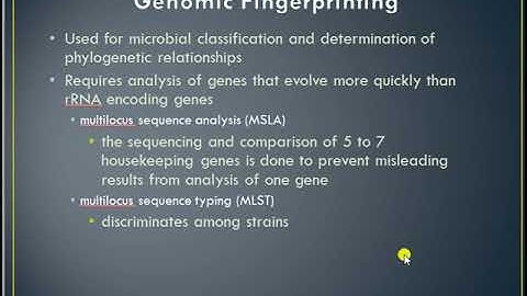 Microbial Taxonomy part 3