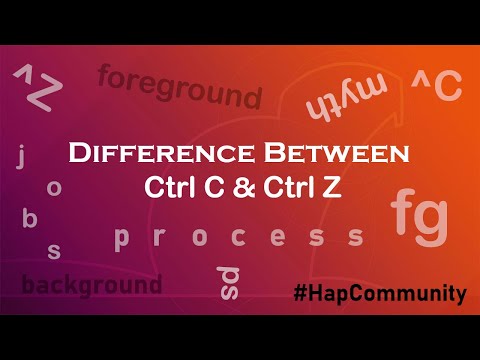 What is the difference between Ctrl C and Ctrl-Z?