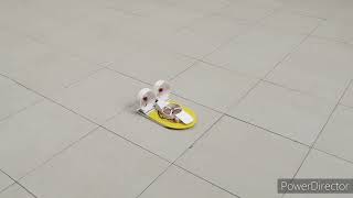 RC Hovercraft testing @KPRIET