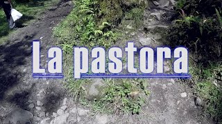 LA PASTORA // TOMAS LOTERO