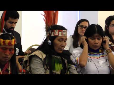 Situation of Defenders of the Human Rights of Indigenous Peoples and of the Environment in Ecuador