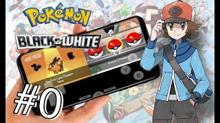 Finalmente Pokémon Black/White Português PT-BR Traduzido! 