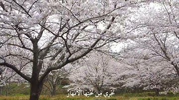 مَّثَلُ الْجَنَّةِ الَّتِي وُعِدَ الْمُتَّقُونَ القارئ أحمد خضر