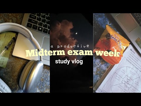 Exam Week All-Nighter: How I Stayed Awake and Sane 🌙😅