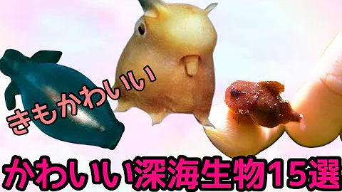 深海 生物 ヒトガタ