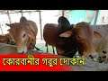 Cattle Market । Cow Haat । গরুর খামার । কেরানীগঞ্জে গরুর খামার । গরুর দাম ১০ লাখ ।