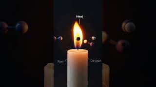 𝐖𝐡𝐚𝐭 𝐈𝐬 𝐂𝐨𝐦𝐛𝐮𝐬𝐭𝐢𝐨𝐧? 🔥 | 𝐍𝐂𝐄𝐑𝐓 𝐒𝐜𝐢𝐞𝐧𝐜𝐞