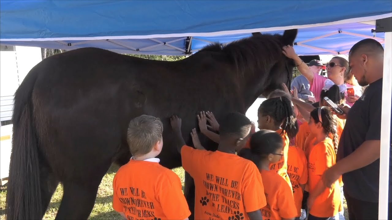 South Students Visit Farm To Learn About Agriculture YouTube