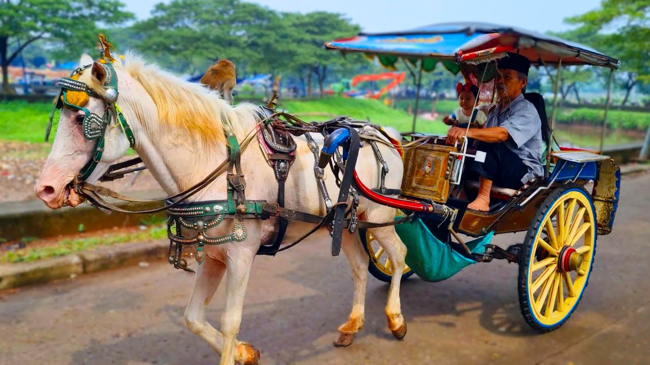 NAIK KUDA DELMAN - ONDEL ONDEL BADUT JOGET - NAIK DELMAN ISTIMEWA - POK AME AME BELALANG KUPU KUPU