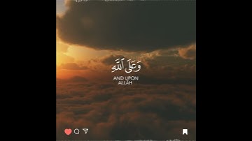 أجمل حالات واتس اب قرآن كريم بصوت رعد الكردي | صوت يريح القلب❤️😴