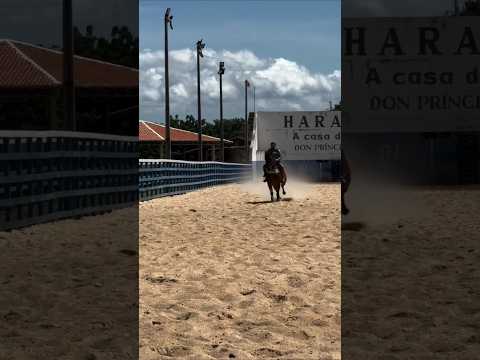 Tirullipa botando o cavalo do Wesley Safadão pra correr