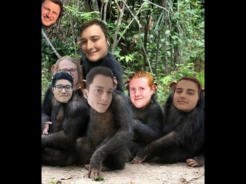 apes together strong apes together strong
