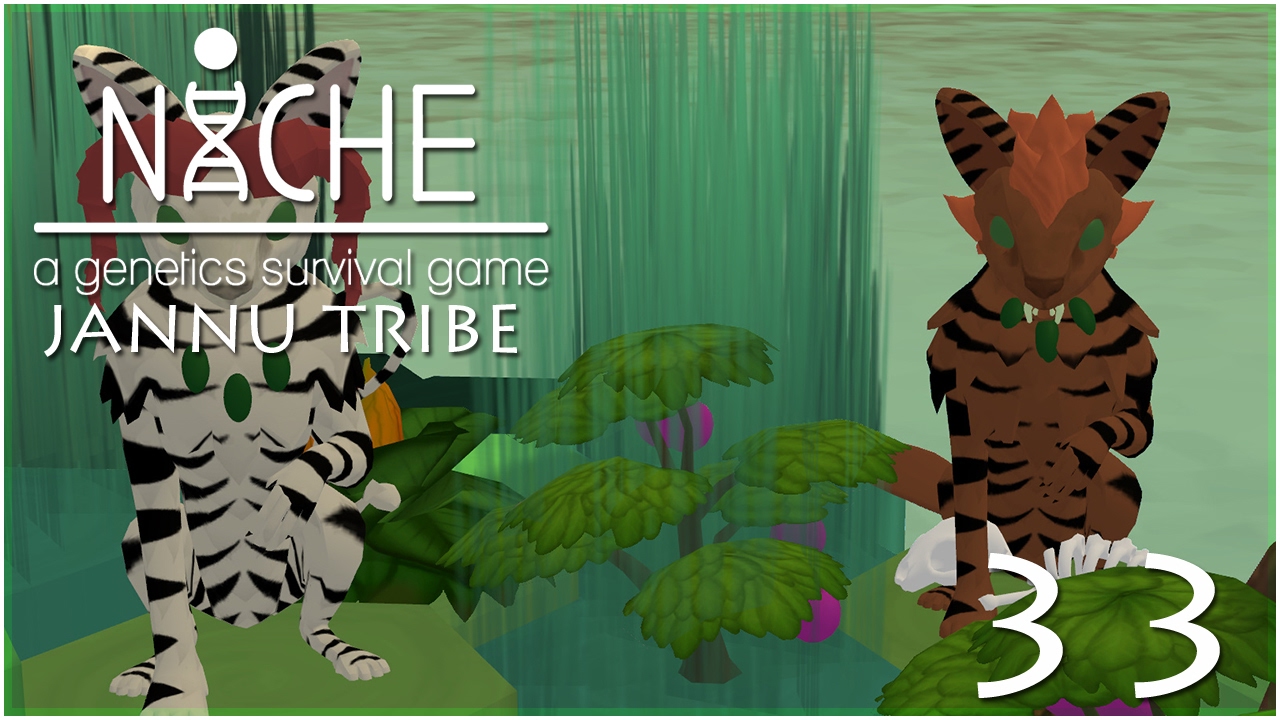 A Rayel Love Story • Niche: Jannu Tribe - Episode #33