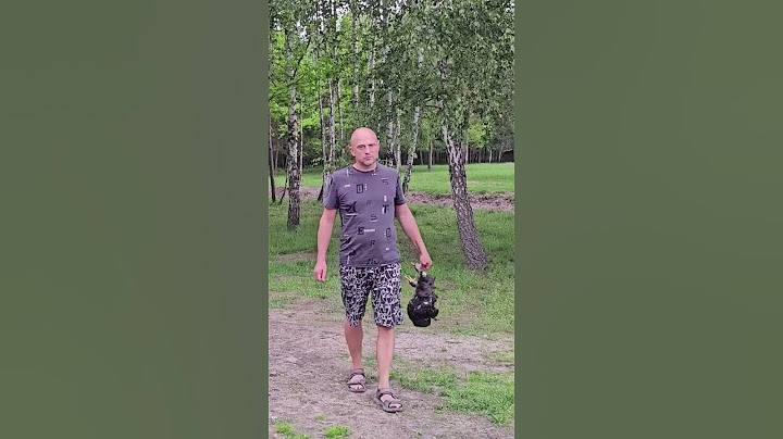 Лиса при собаках выбежала из леса и загрызла курицу