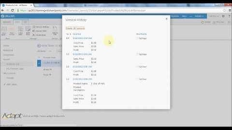 Versioning-Training Video 25