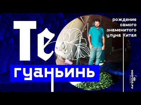 Те Гуаньинь. Как делают самый знаменитый улун Китая.