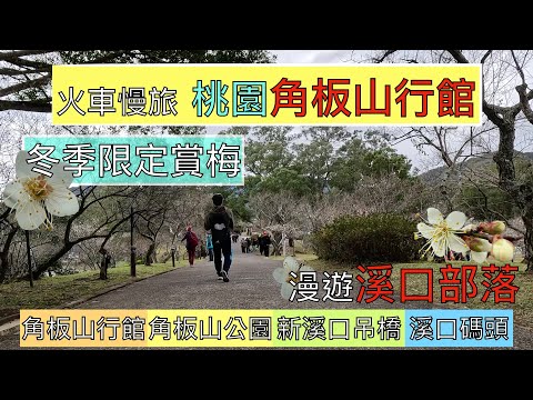 火車慢旅 桃園 角板山行館賞梅之旅ep185『冬季限定!北部最大賞梅景點,徒步角板山行館,梅園,環湖步道,戰備隧道,角板山公園賞梅,走新溪口吊橋,漫遊溪口部落,碼頭,開圳紀念碑』