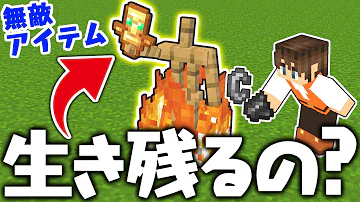 不死のトーテムｍｋマイクラ Mp3