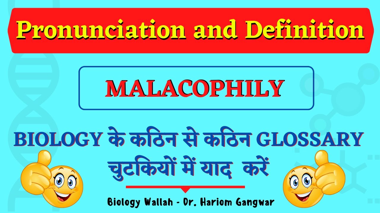 Malacophily : Pronunciation  and Definition |