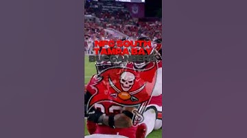 Predicting Teams That Will Win Their Division Next Season #nflshorts #shorts