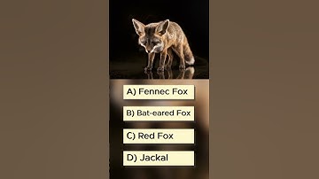 Only 1% Can Guess the Last Animal! (Quiz 16) #shorts