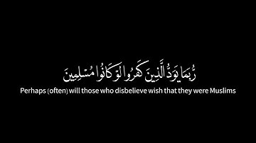 رُّبَمَا يَوَدُّ الَّذين كفروا لو كانوا مُسْلِمين | سورة الحجر | محمد صديق المنشاوي | من اية ٢ إلى ٣