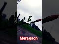 Mera Gaon #nature #song #hindisong #love #tseries #viralvideo #shorts