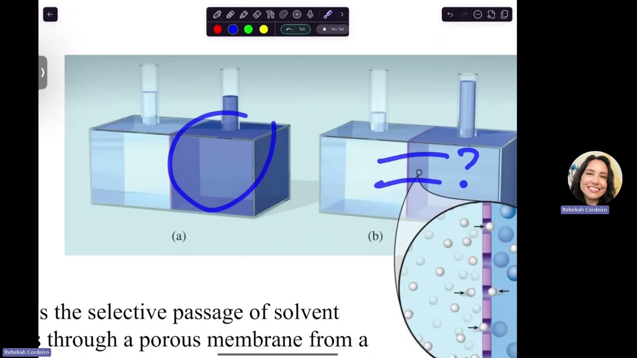 Химия 102 13.5-13.7