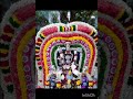 ஓம் முருகா om muruga #devotional #god #aanmeegam #aarupadaiveedu #ommuruga