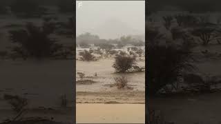 Severe thunderstorm and flooding in western Bisha, Saudi Arabia