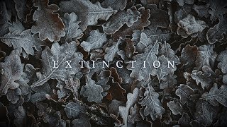 Mustafa Avşaroğlu - Extinction