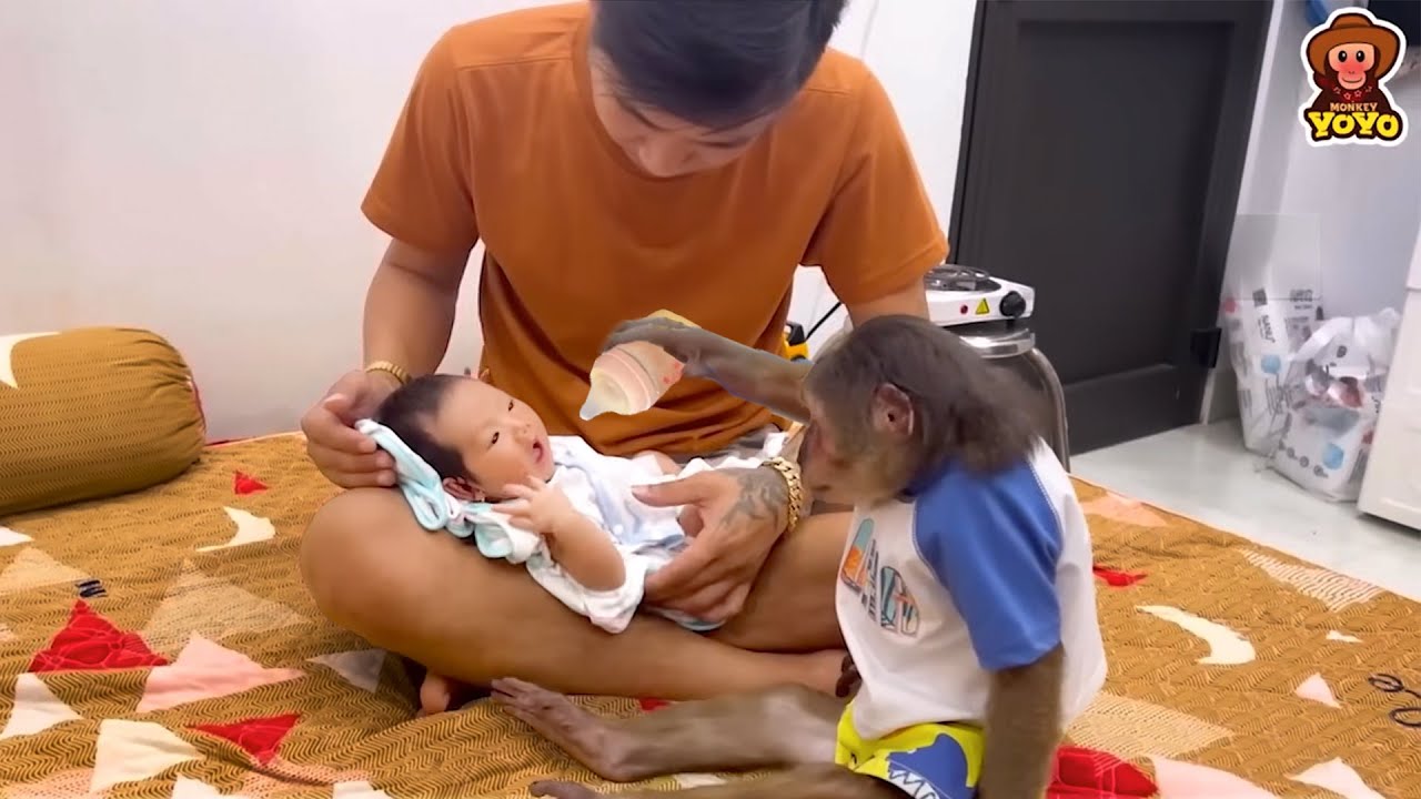 YoYo JR helps dad take care of the baby