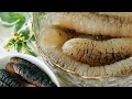 How to Cook Sea Cucumber ❤ 怎样煮海参  #littleduckkitchen