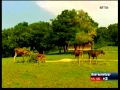 Dxsatcs Com Yamal 201 At 90 0 E 3 603 L OTV 