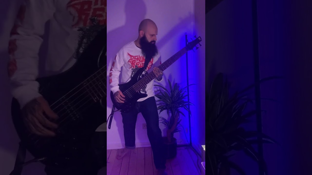 Slapping the TechDeathBass - "Never " 