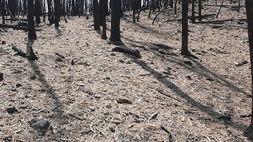 NielsenC_Art120_Interactive-landscape