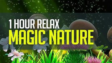 Relaxing CGI: Magic nature