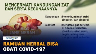 Ramuan Herbal Bisa Obati Covid-19?