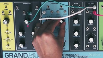 Moog Grandmother 101: Explained and Explored - 1. Introduction